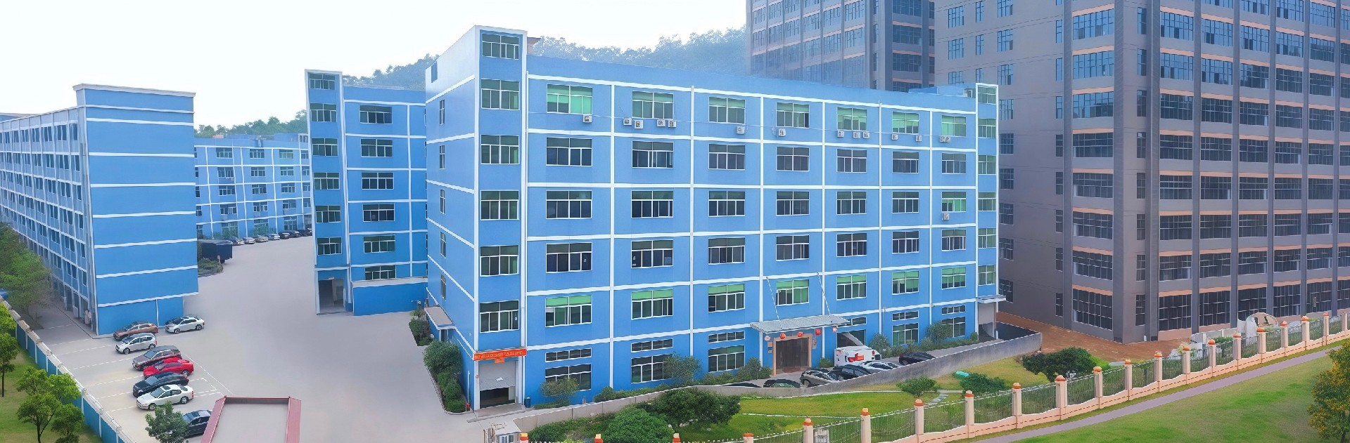 Company Profile